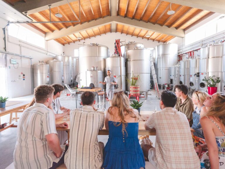 Degustazione in cantina